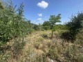 Продава ПАРЦЕЛ, област Пловдив, с. Нови извор • 33000 € • 77359986 — Holmes.bg