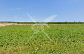 Plott Bata, region Burgas