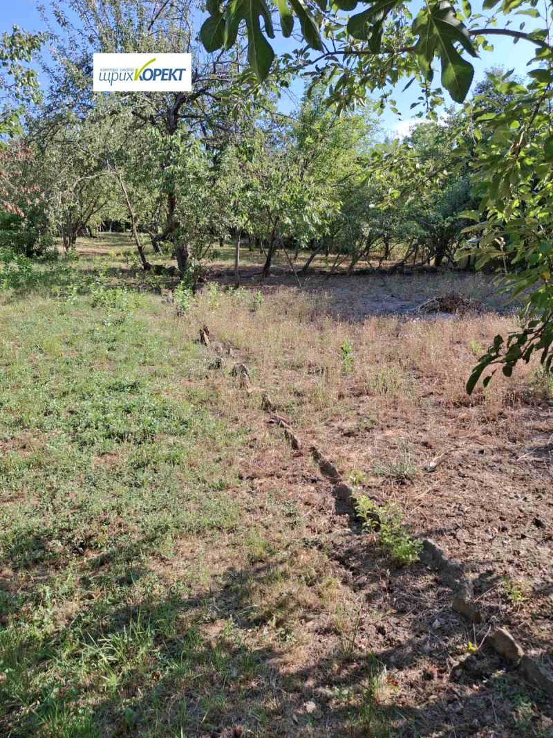 Продава КЪЩА, област Велико Търново, с. Момин сбор • 120000 € • 21930052 — Holmes.bg