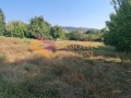 Продава ПАРЦЕЛ, област Варна, с. Слънчево • 19500 € • 16732887 — Holmes.bg