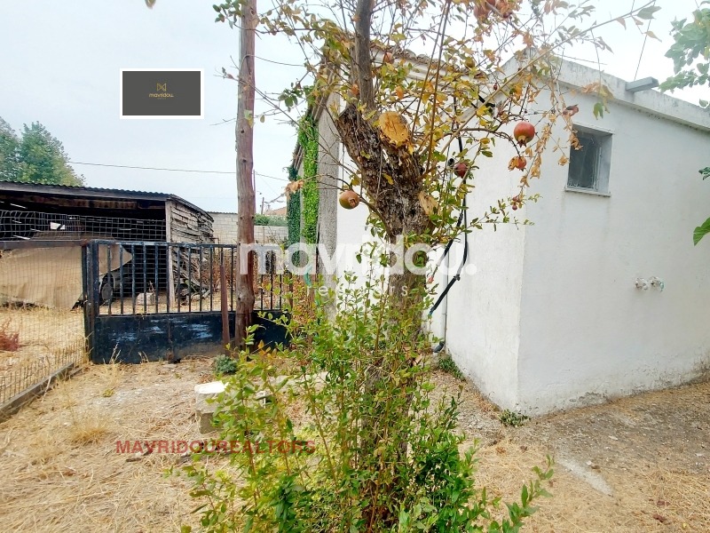 ������� 2-����� | Imot.bg � ����������� 12