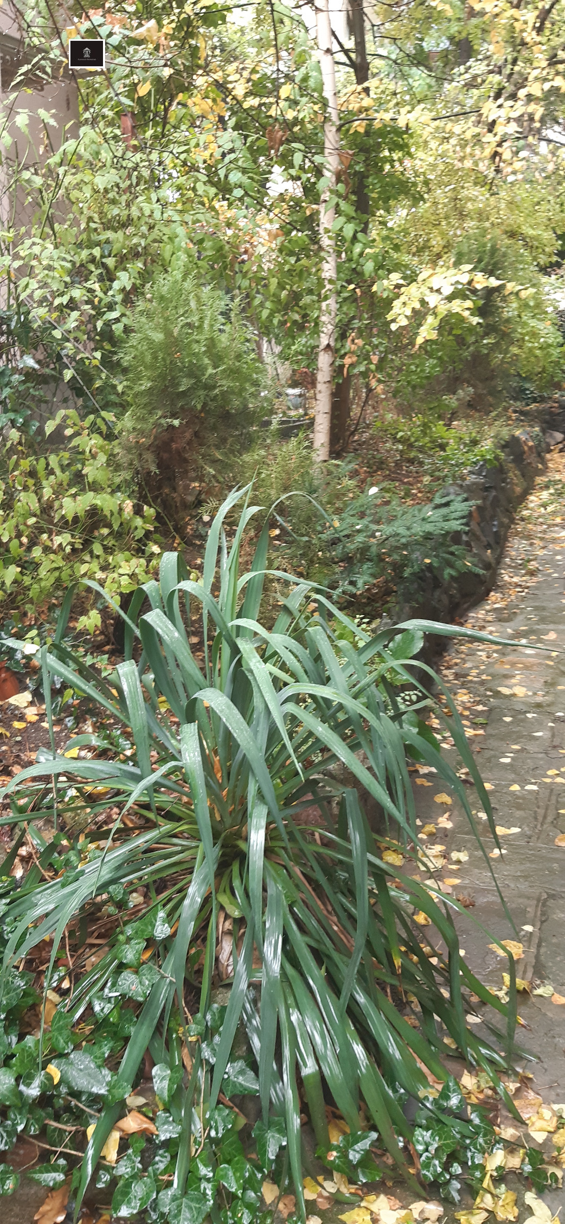 ������� 3-����� | Imot.bg � ����������� 16