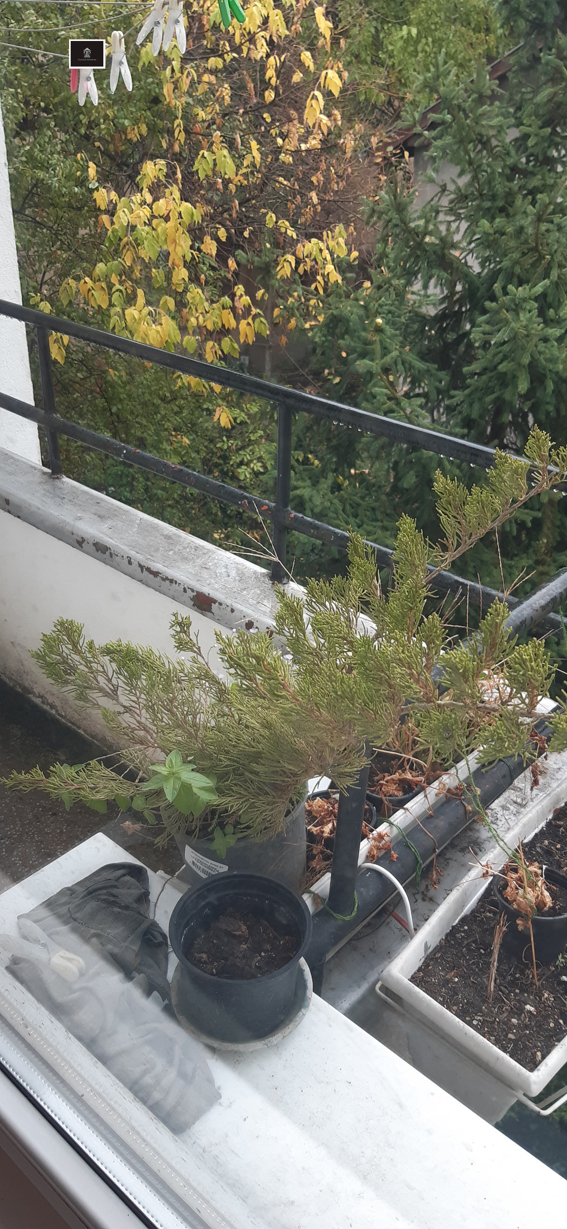 ������� 3-����� | Imot.bg � ����������� 11