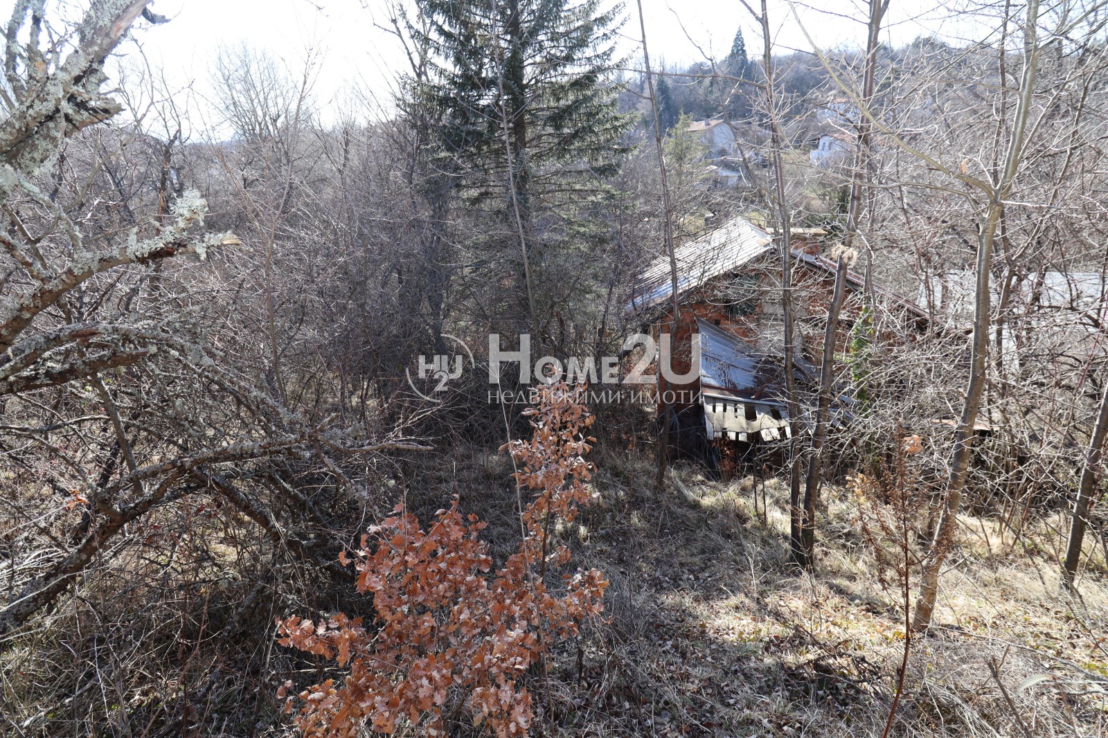 ������� ���� | Imot.bg � ����������� 17