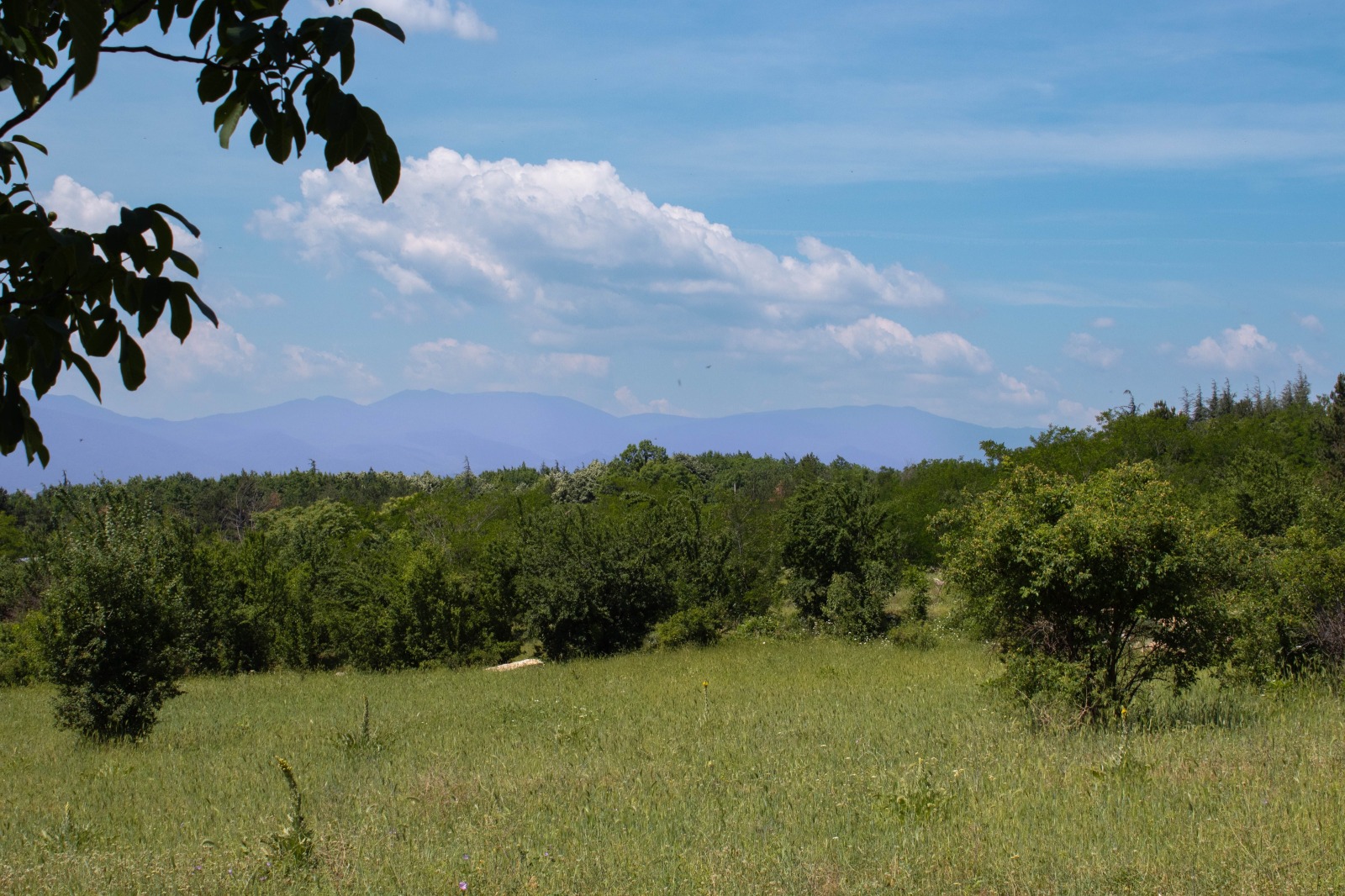 Продава ПАРЦЕЛ | Imot.bg — изображение 3