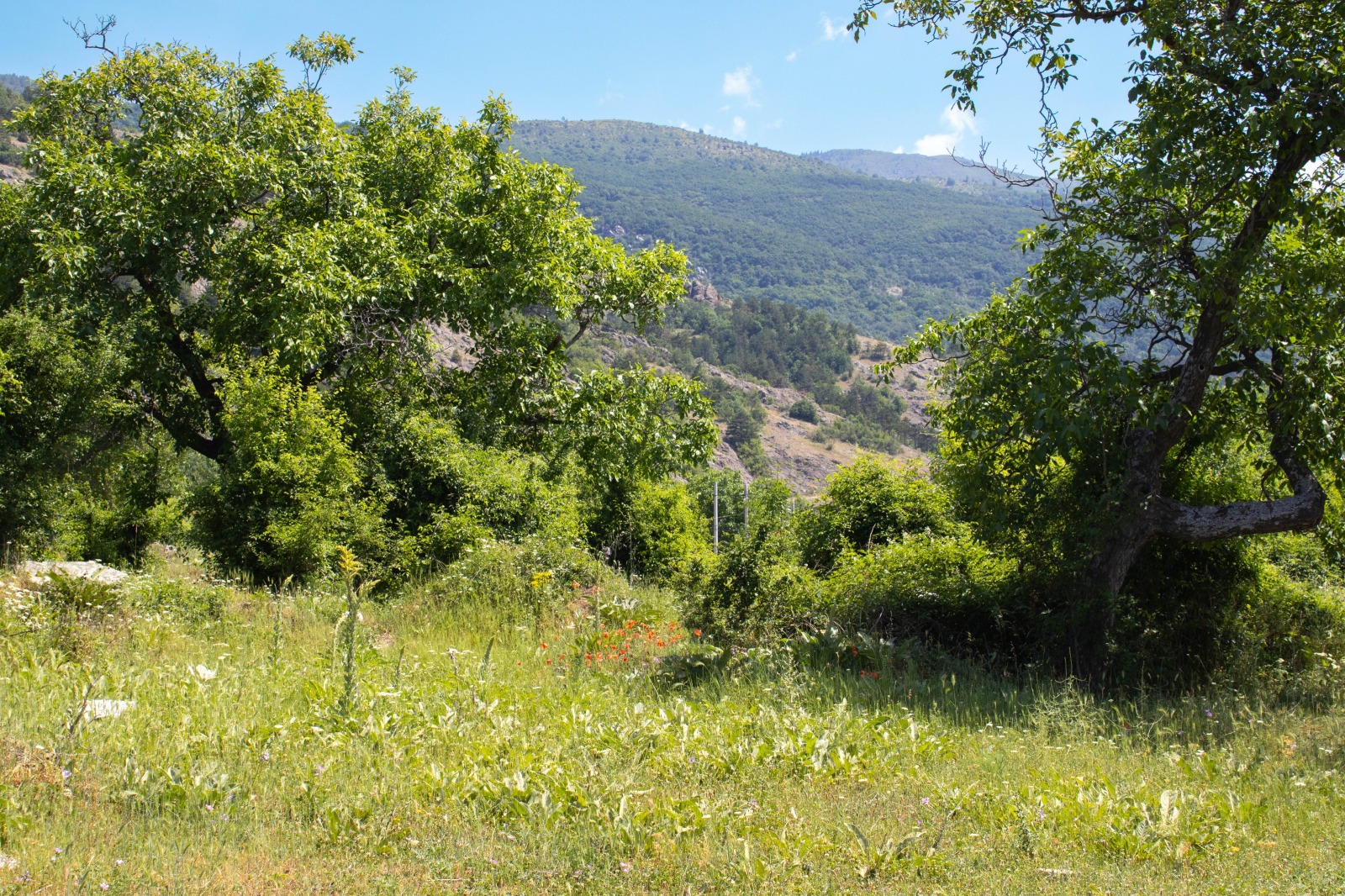 Продава ПАРЦЕЛ | Imot.bg — изображение 4