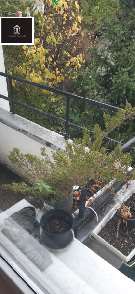 ������� 3-����� | Imot.bg � ����� ������ 11