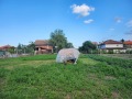 Продава ПАРЦЕЛ, с. Звъничево, област Пазарджик, снимка 1