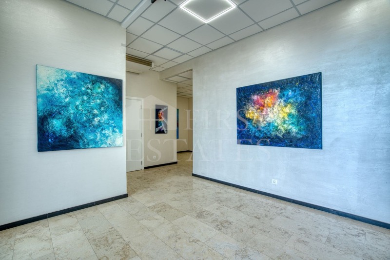 For Sale  Office Sofia , Hladilnika , 266 sq.m | 66907727 - image [5]
