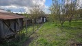 Продава КЪЩА, област Велико Търново, с. Българско Сливово • 28000 лв. / 14316.17 € • 74650250 8