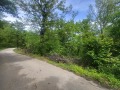 Продава ПАРЦЕЛ, област Ловеч, с. Патрешко • 12500 € • 52273546 — Holmes.bg