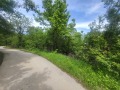 Продава ПАРЦЕЛ, област Ловеч, с. Патрешко • 12500 € • 52273546 — Holmes.bg