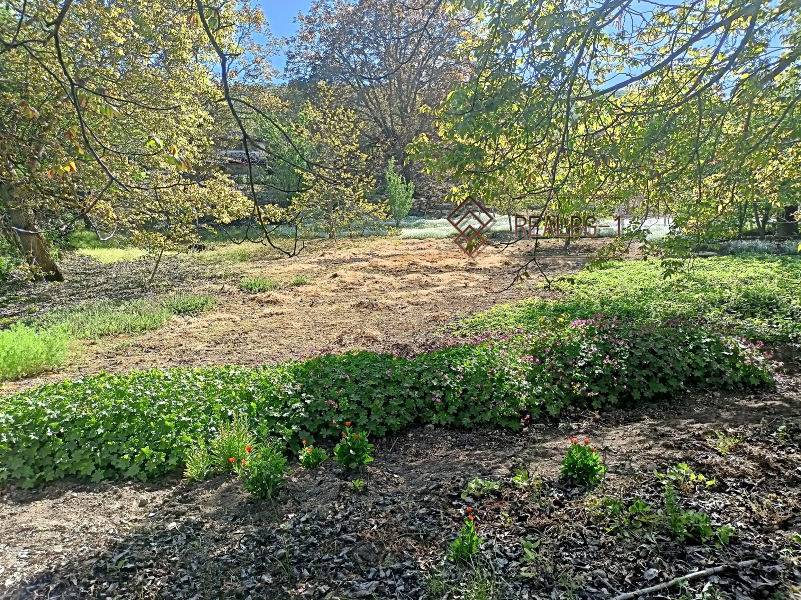 ������� ������ | Imot.bg � ����������� 6