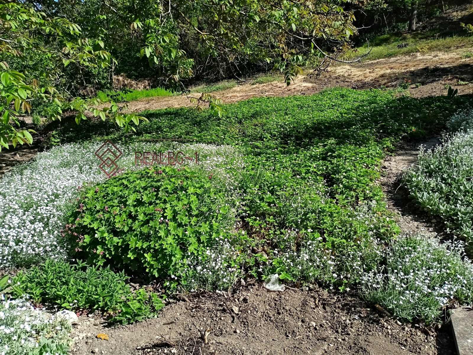 ������� ������ | Imot.bg � ����������� 4