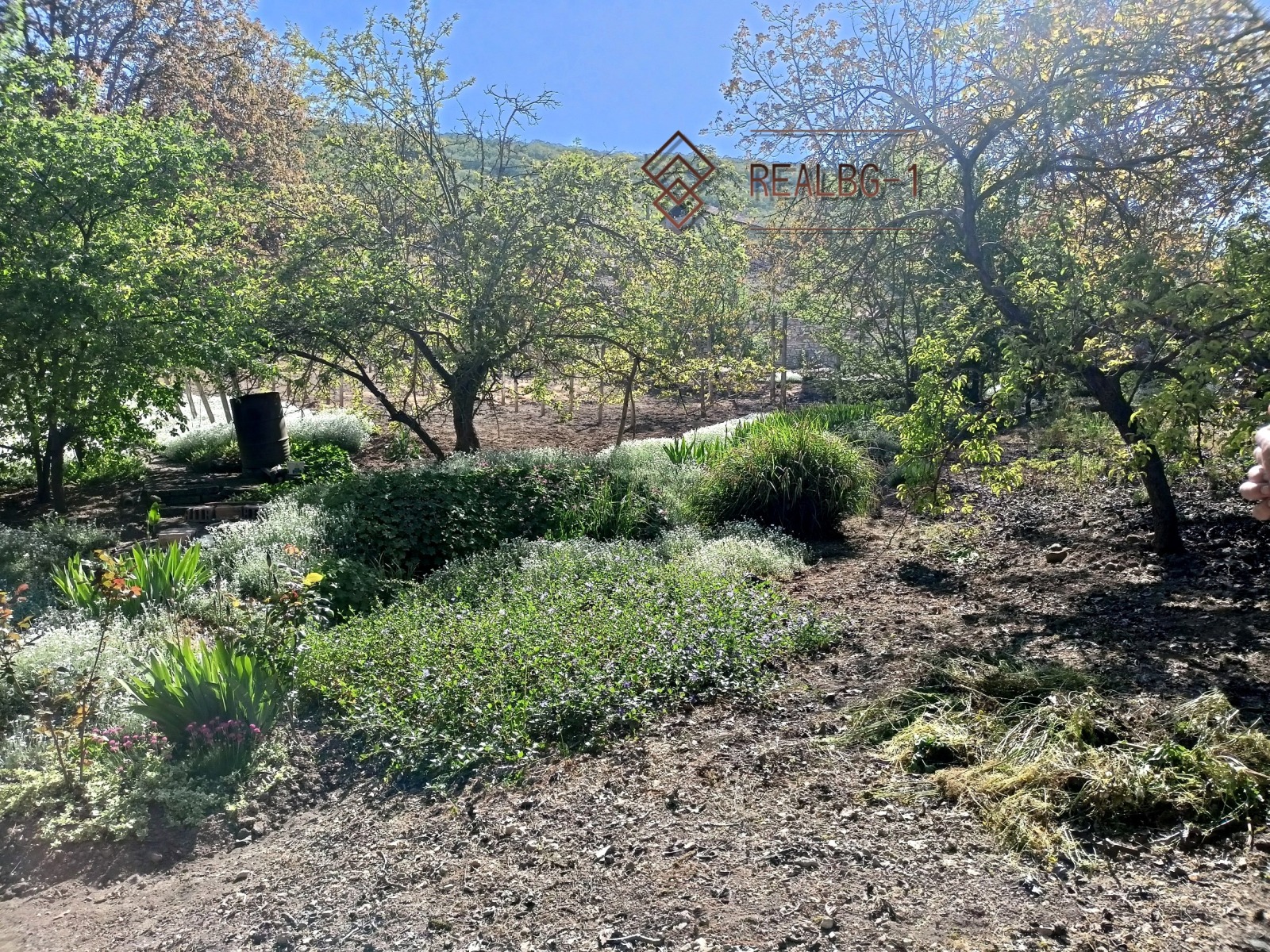 ������� ������ | Imot.bg � ����������� 5