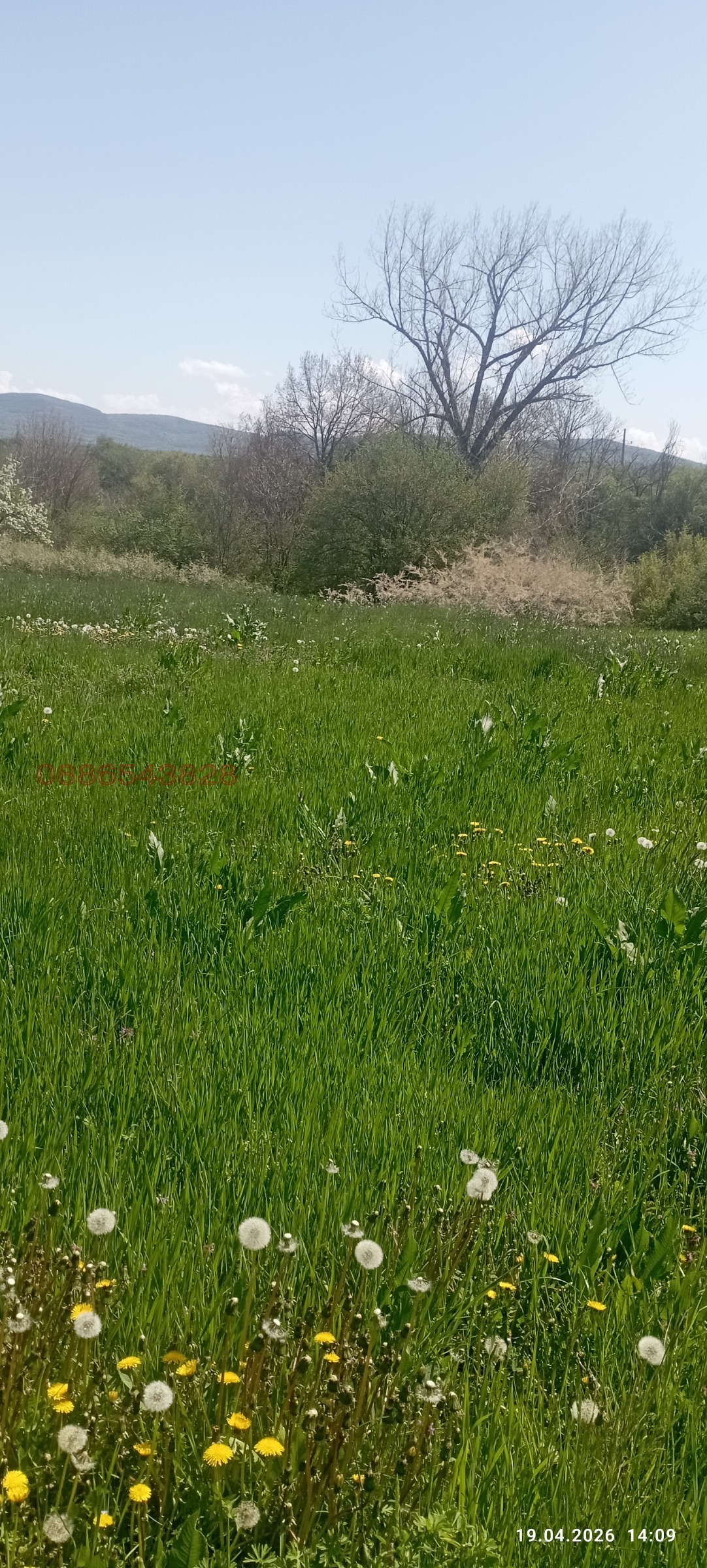 ������� ������ | Imot.bg � ����������� 17