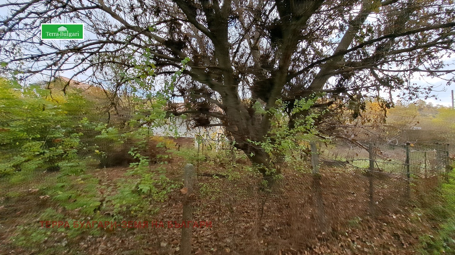 Продава ПАРЦЕЛ | Imot.bg — изображение 8