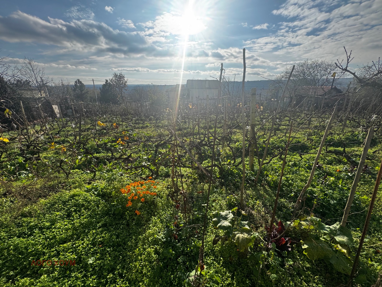 ������� ���� | Imot.bg � ����������� 12