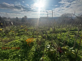 ������� ���� | Imot.bg � ����� ������ 12