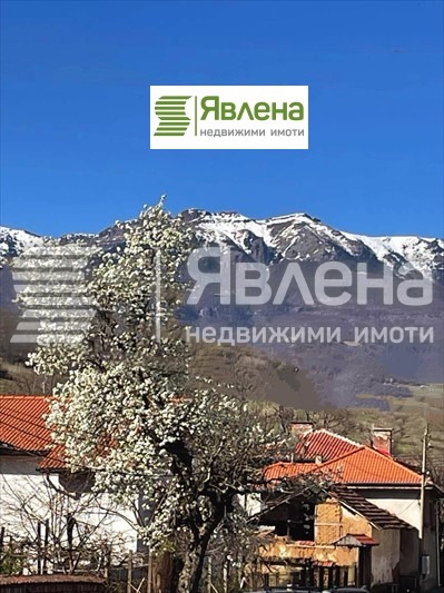 Продава МАГАЗИН, с. Железна, област Монтана, снимка 14 - Магазини - 53078939
