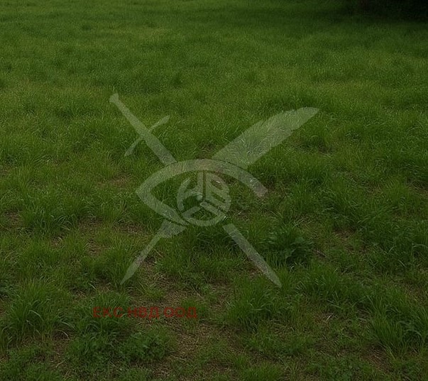 Продава ПАРЦЕЛ, област Бургас, с. Баня • 72000 € / 140819.76 лв. • 19840347 1