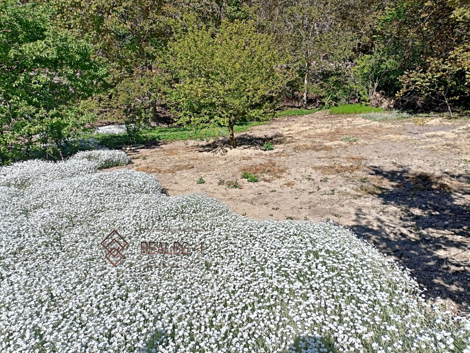 Продава ПАРЦЕЛ, гр. Балчик, област Добрич, снимка 2 - Парцели - 54348666