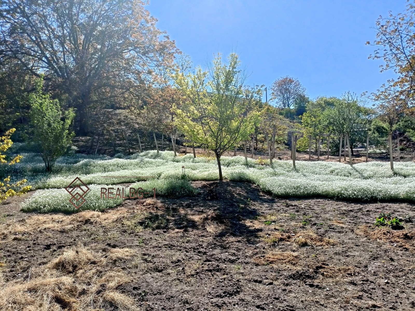 Продава ПАРЦЕЛ, гр. Балчик, област Добрич, снимка 3 - Парцели - 54348666