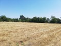 Продава ПАРЦЕЛ, с. Горно Пещене, област Враца, снимка 4