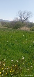 Продава ПАРЦЕЛ, с. Горно Пещене, област Враца, снимка 17