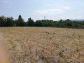 Продава ПАРЦЕЛ, с. Горно Пещене, област Враца, снимка 3