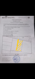 Продава ЗЕМЕДЕЛСКА ЗЕМЯ, с. Руен, област Бургас, снимка 3