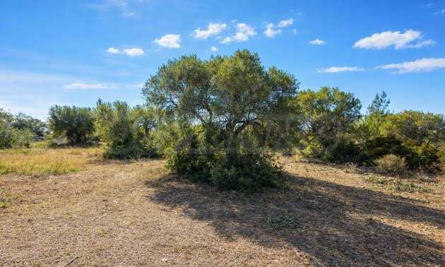 ������� ������ | Imot.bg � ����������� 16