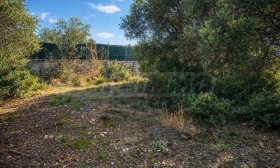 ������� ������ | Imot.bg � ����� ������ 12