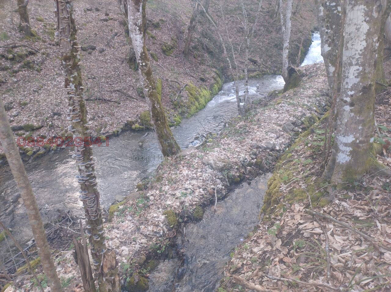 Продава КЪЩА, с. Рибарица, област Ловеч, снимка 2 - Къщи - 56071302