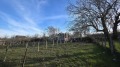 Продава  Парцел град Варна , с. Константиново , 576 кв.м | 83087365 - изображение [3]