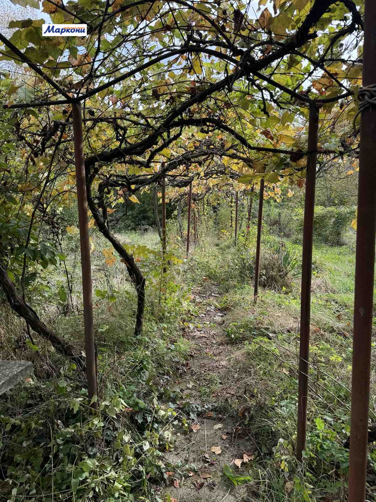 ������� ���� | Imot.bg � ����������� 6