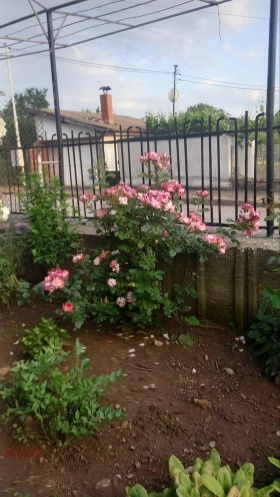 ������� ���� �� ���� | Imot.bg � ����� ������ 8