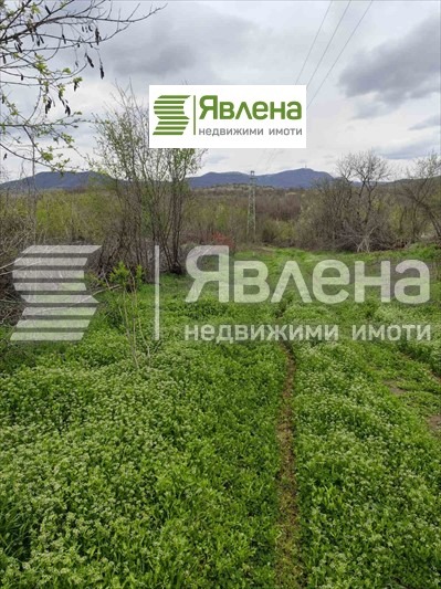 Продава  Парцел област Видин , с. Дъбравка , 1552 кв.м | 85596293
