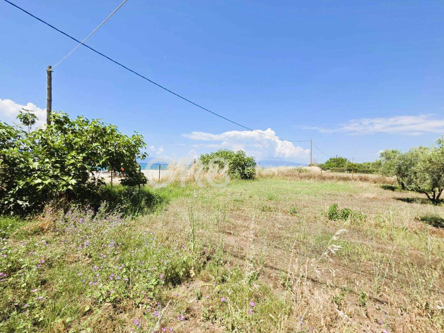 Продава ПАРЦЕЛ, Извън страната, област Извън страната, снимка 3 - Парцели - 54836201