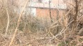 Продава ПАРЦЕЛ, град Ловеч, Гозница • 19900 € / 38921.02 лв. • 73621980 2