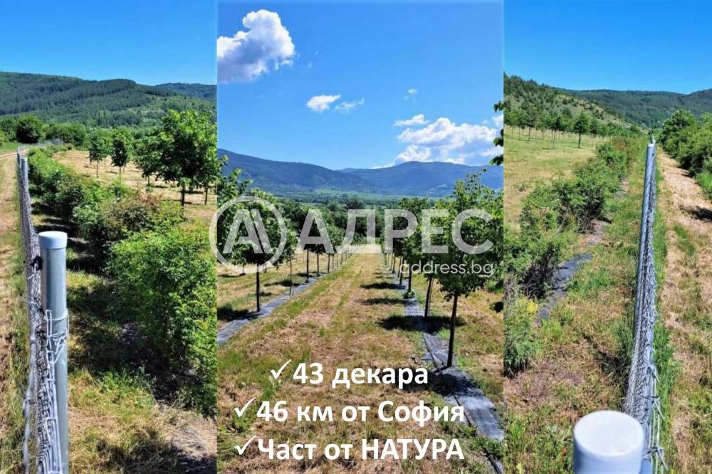������� ���������� ���� | Imot.bg � ����������� 2