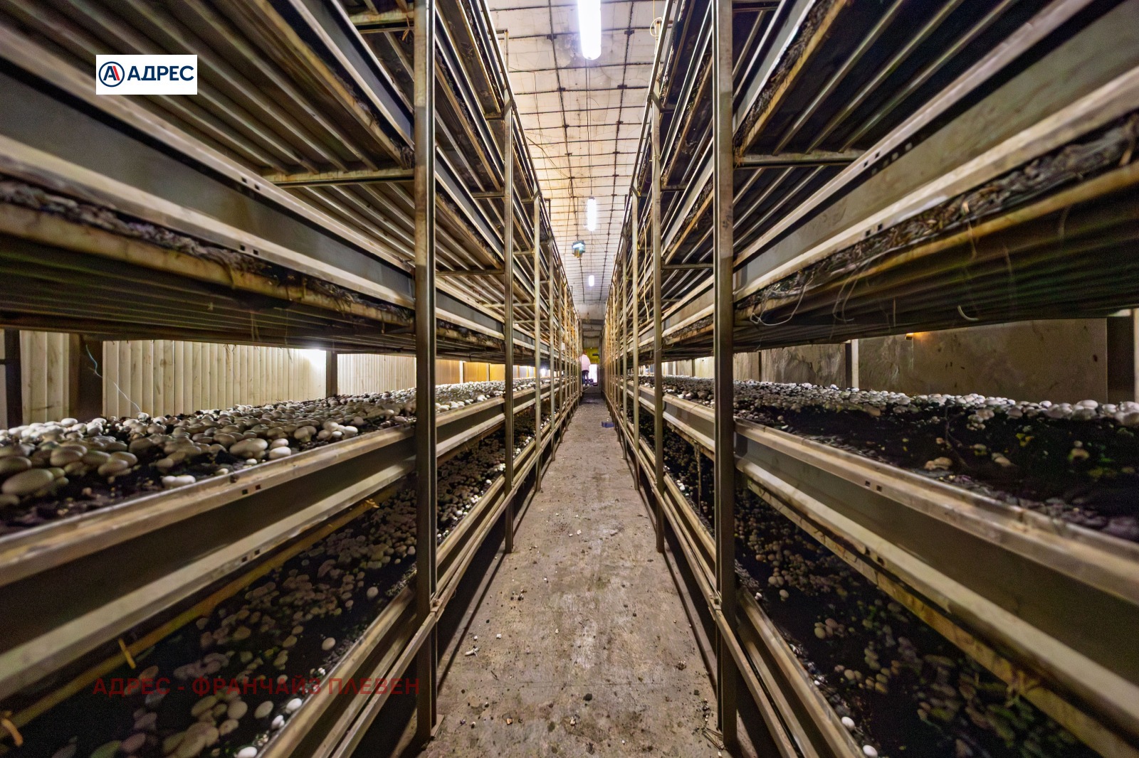 ������� �������/����� | Imot.bg � ����������� 7