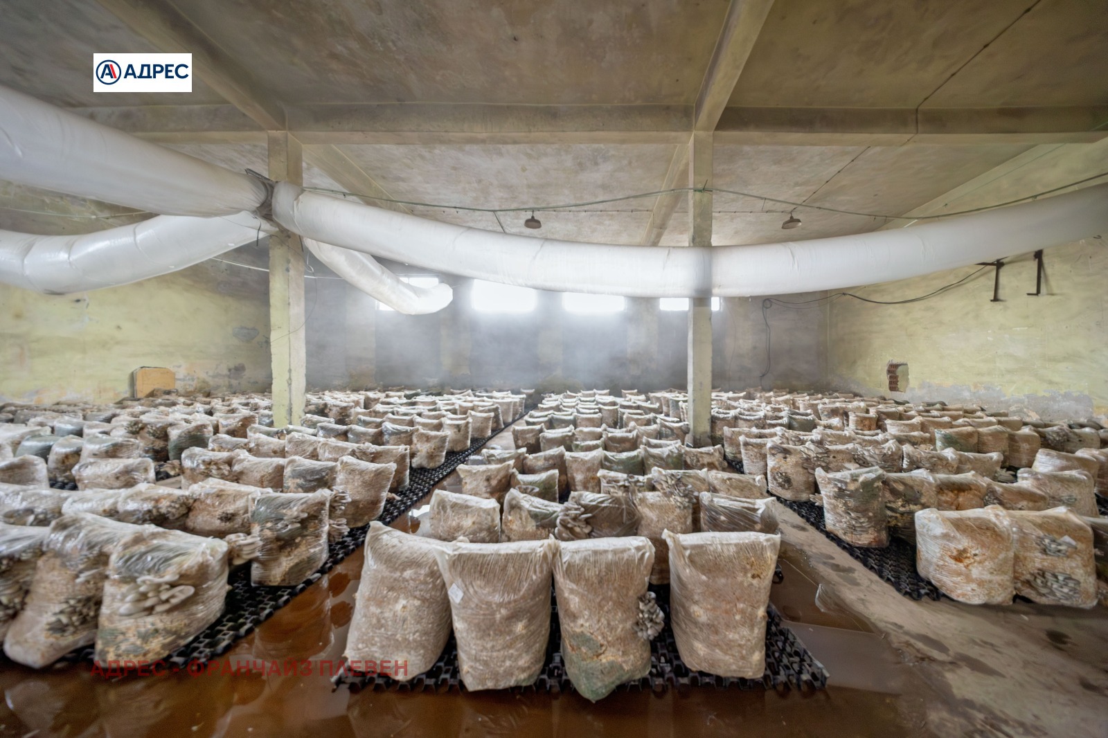 ������� �������/����� | Imot.bg � ����������� 2