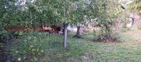   | Imot.bg    5
