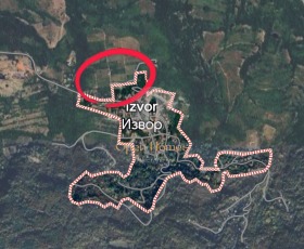 ������ ������� ���������� ����