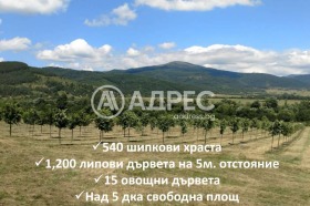 ������� ���������� ���� | Imot.bg � ����� ������ 4