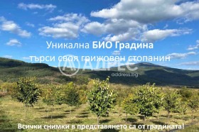 Продава  Земеделска земя, с. Горно Камарци