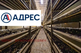 ������� �������/����� | Imot.bg � ����� ������ 7