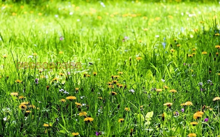 Продава ПАРЦЕЛ, гр. Добрич, в.з. Лозята