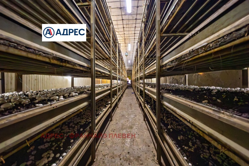 Продава БИЗНЕС ИМОТ, гр. Плевен, Индустриална зона - Запад, снимка 7 - Други - 53073334